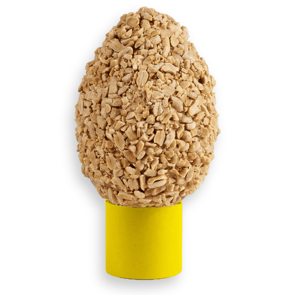 Uovo Caramello Salato e Arachidi 300-400G