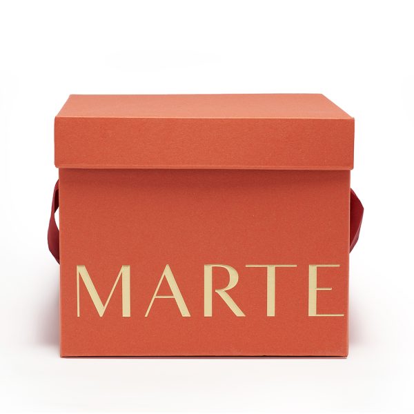 Panettone Cocco e Cioccolato al Latte 1kg - immagine 2