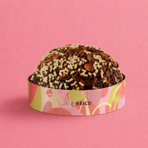 Veneziana all'Albicocca 500g - Summer Edition